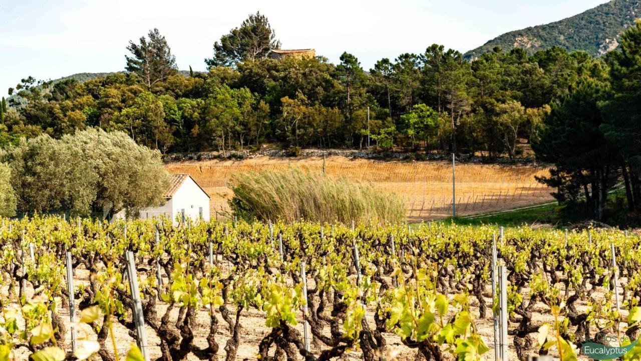Le Clos Des Eucalyptus Le Plan-de-la-Tour Exterior foto