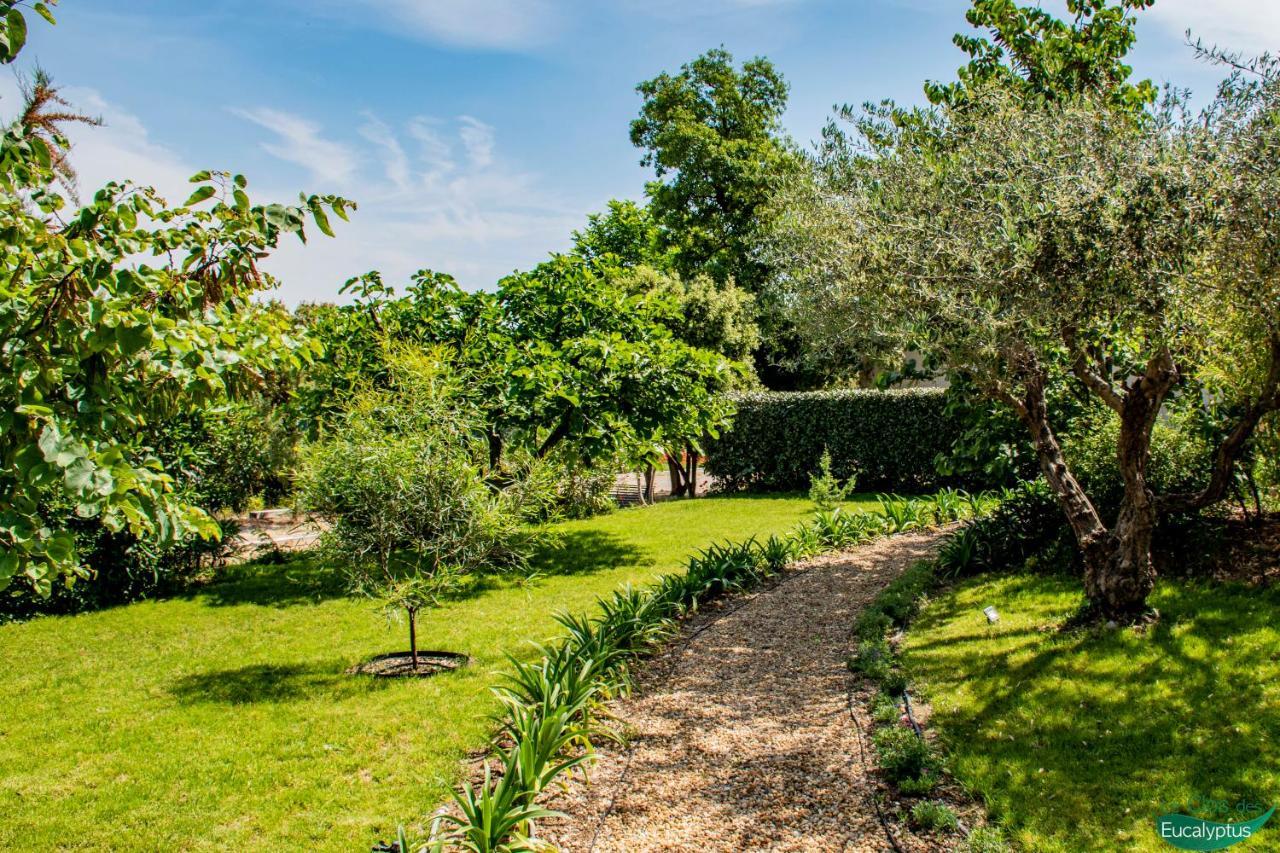 Le Clos Des Eucalyptus Le Plan-de-la-Tour Exterior foto