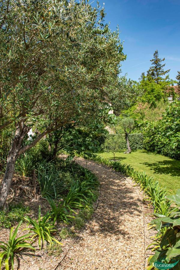 Le Clos Des Eucalyptus Le Plan-de-la-Tour Exterior foto
