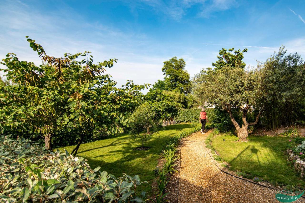 Le Clos Des Eucalyptus Le Plan-de-la-Tour Exterior foto