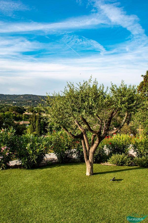 Le Clos Des Eucalyptus Le Plan-de-la-Tour Exterior foto