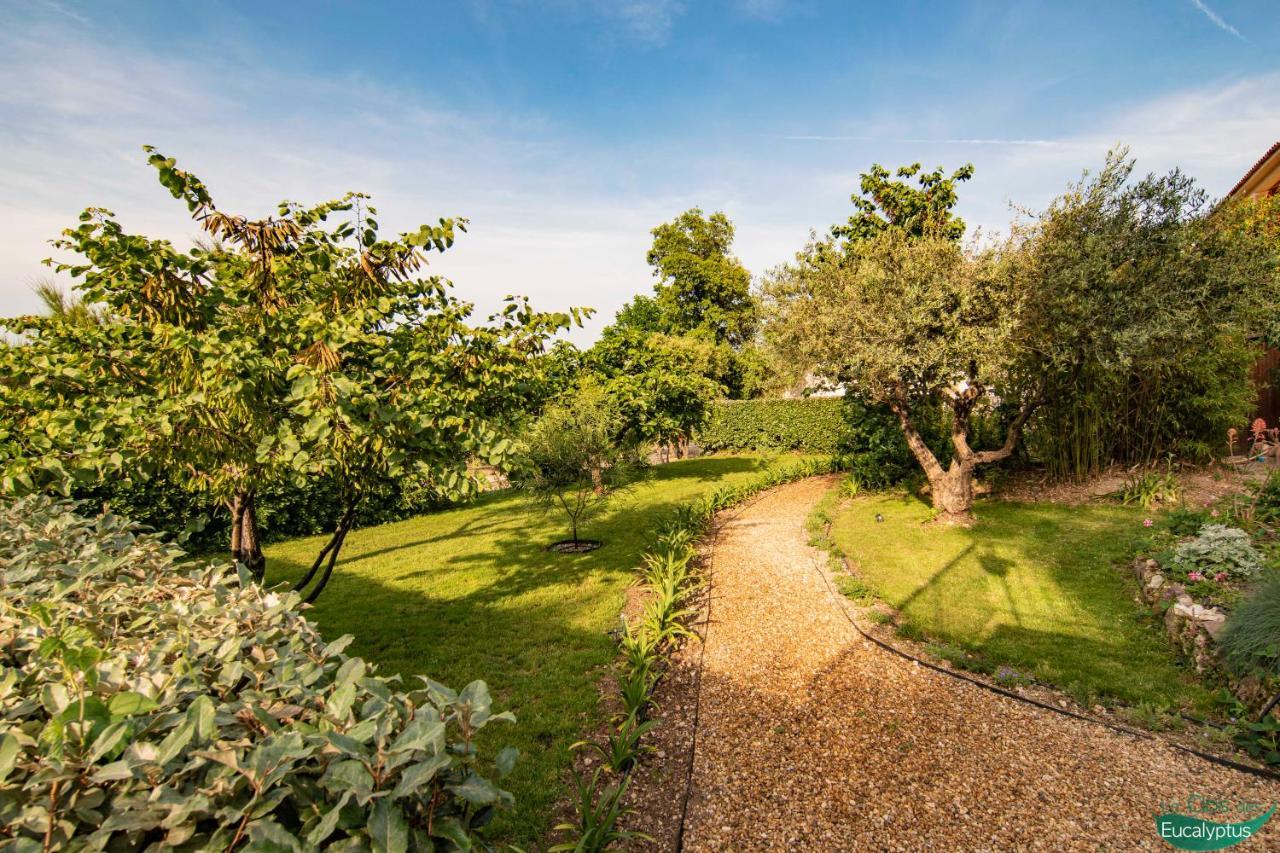 Le Clos Des Eucalyptus Le Plan-de-la-Tour Exterior foto